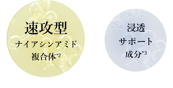 速攻型ナイアシンアミド複合体（*2）×浸透サポート成分（*3）