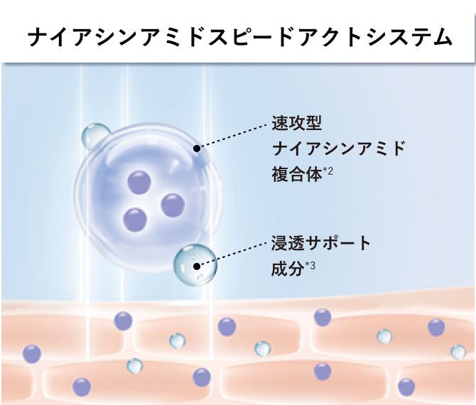 ナイアシンアミドスピードアクトシステム
