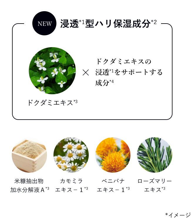 浸透（*1）型ハリ保湿成分（*2）ドクダミエキス（*3）×ドクダミエキスの浸透*1をサポートする成分（*4）／米糠抽出物 加水分解液Ａ（*3）カモミラエキス－１（*3）ベニバナエキス－１（*3）ローズマリーエキス（*3）*イメージ