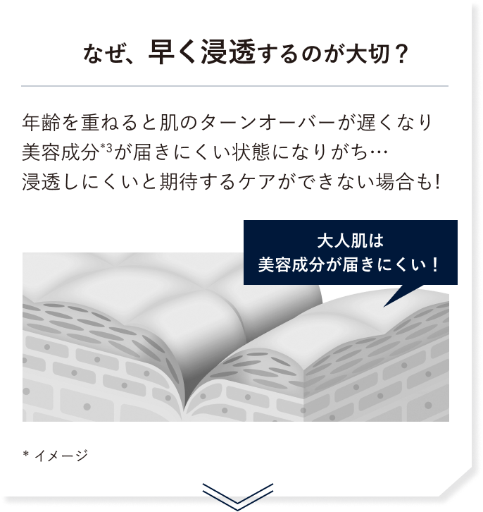 なぜ、早く浸透するのが大切？年齢を重ねると肌のターンオーバーが遅くなり美容成分（*3）が届きにくい状態になりがち…浸透しにくいと期待するケアができない場合も!* イメージ
