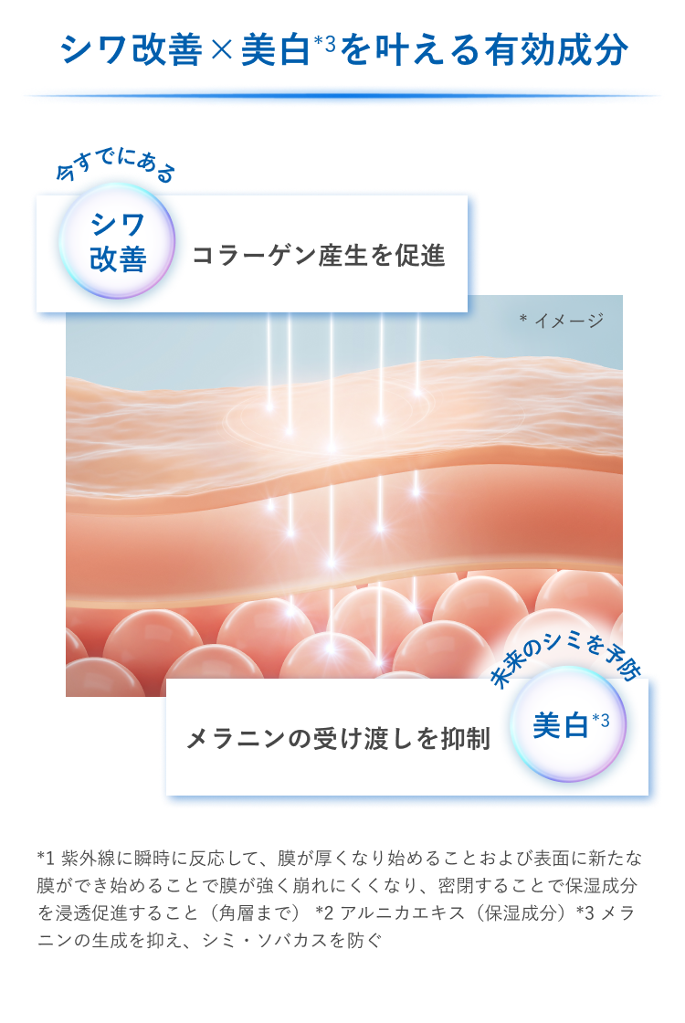 シワ改善×美白（*3）を叶える有効成分 今すでにあるシワ改善 コラーゲン産生を促進／未来のシミを予防 美白（*3）メラニンの受け渡しを抑制／*1 紫外線に瞬時に反応して、膜が厚くなり始めることおよび表面に新たな膜ができ始めることで膜が強く崩れにくくなり、密閉することで保湿成分を浸透促進すること（角層まで） *2 アルニカエキス（保湿成分）*3 メラニンの生成を抑え、シミ・ソバカスを防ぐ