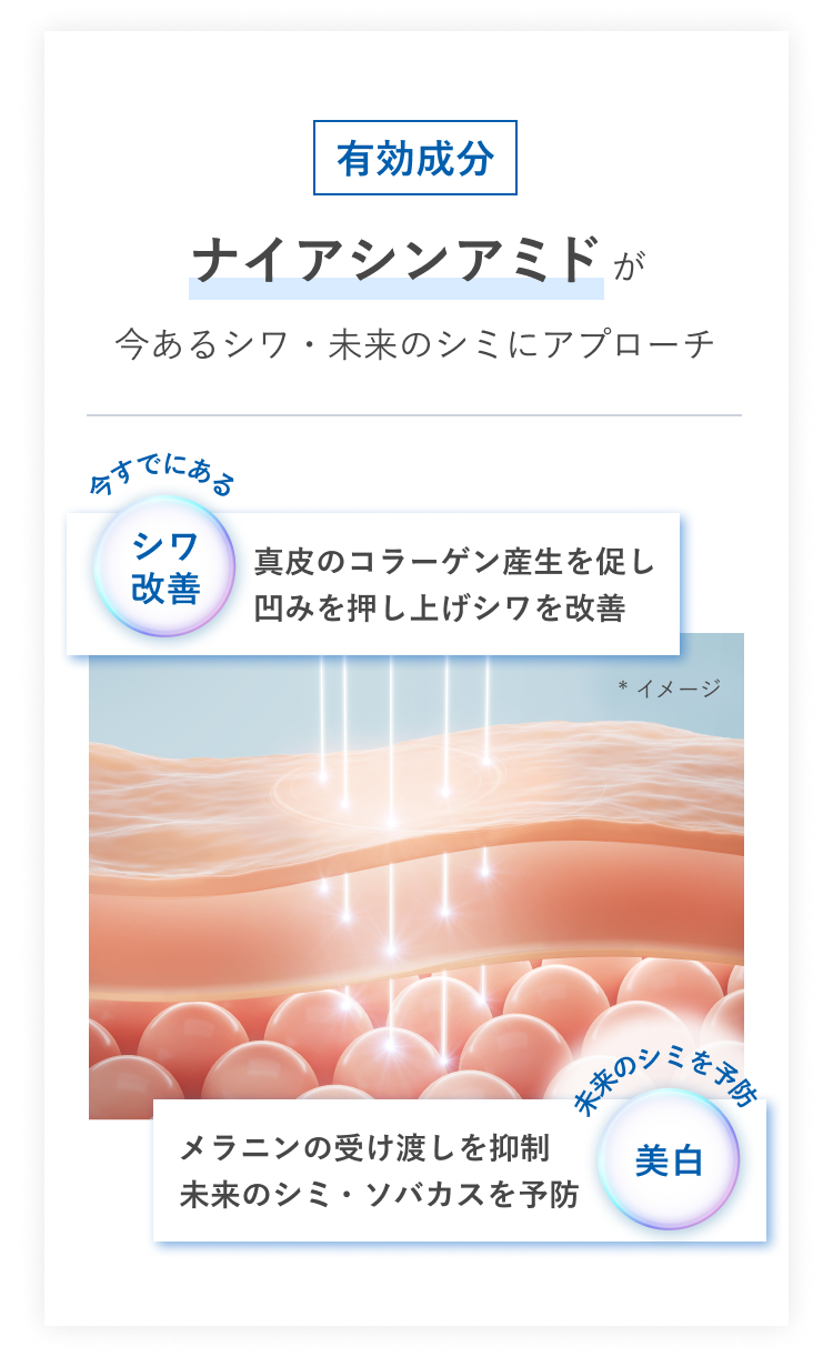 有効成分 ナイアシンアミドが今あるシワ・未来のシミにアプローチ 今すでにあるシワ改善 真皮のコラーゲン産生を促し凹みを押し上げシワを改善／未来のシミを予防 美白 メラニンの受け渡しを抑制 未来のシミ・ ソバカスを予防
