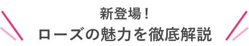 新登場!ローズの魅力を徹底解説