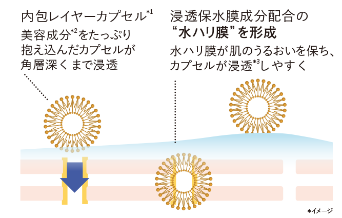 内包レイヤーカプセル*1美容成分*2をたっぷり抱え込んだカプセルが角層深くまで浸透／浸透保水膜成分配合の“水ハリ膜”を形成 水ハリ膜が肌のうるおいを保ち、カプセルが浸透*3しやすく *イメージ