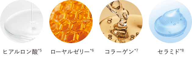 ヒアルロン酸*5 ローヤルゼリー*6 コラーゲン*7 セラミド*8