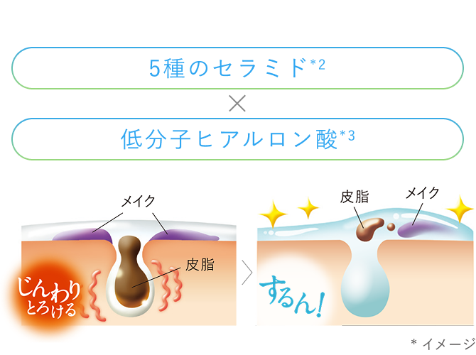 5種のセラミド*2 × 低分子ヒアルロン酸*3 *イメージ