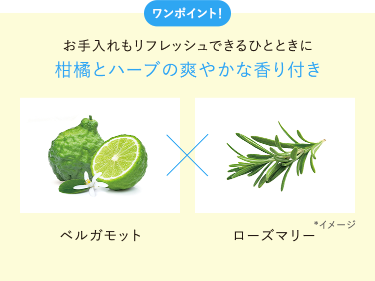 ワンポイント！お手入れもリフレッシュできるひとときに柑橘とハーブの爽やかな香り付き／ベルガモット ローズマリー *イメージ