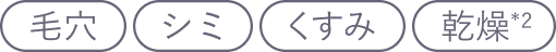 毛穴／シミ／くすみ／乾燥
