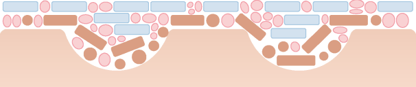 その凹凸に2種のフィットパウダーが入り込むことで滑らかな肌に