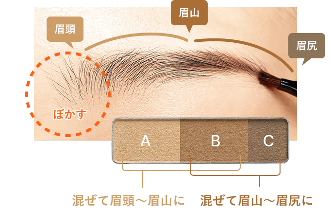 眉頭／眉山／眉尻 ぼかす A・B混ぜて眉頭〜眉山に B・C混ぜて眉山〜眉尻に