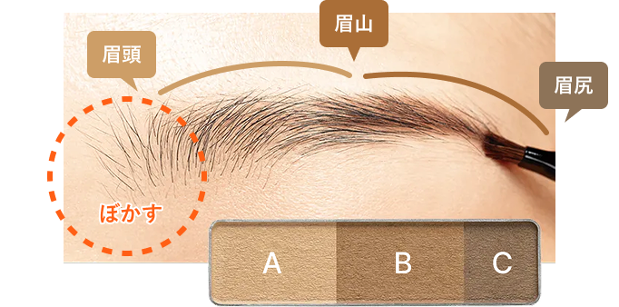 眉頭／眉山／眉尻 ぼかす A・B混ぜて眉頭〜眉山に B・C混ぜて眉山〜眉尻に