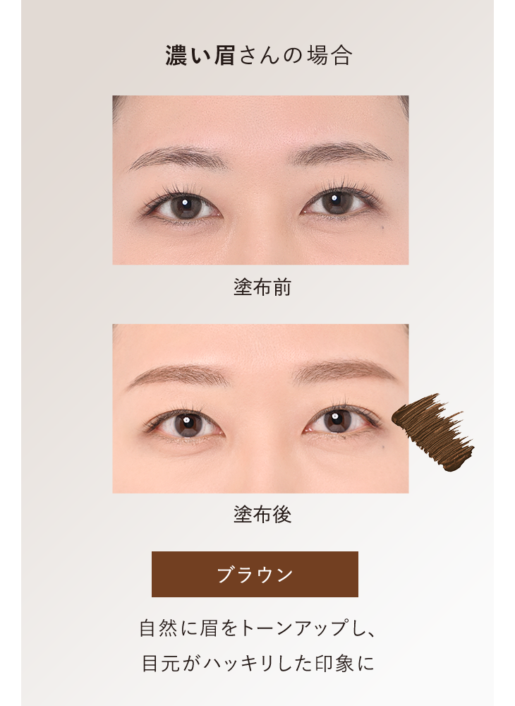 濃い眉さんの場合 塗布前／塗布後：ブラウン 自然に眉をトーンアップし、目元がハッキリした印象に