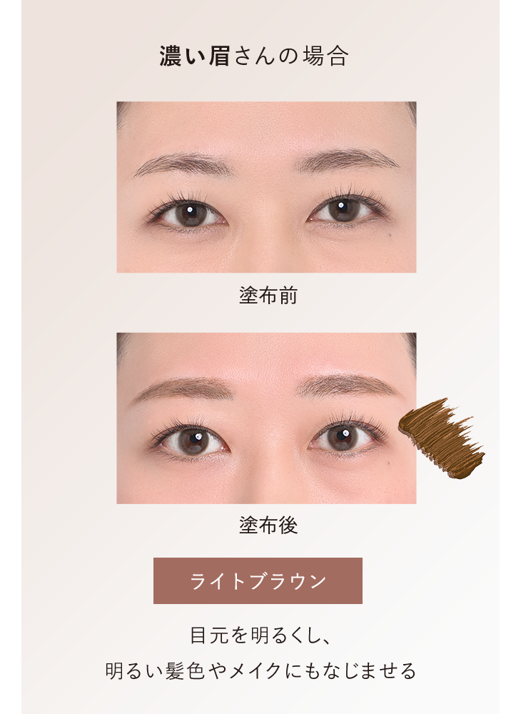 濃い眉さんの場合 塗布前／塗布後：ライトブラウン 目元を明るくし、明るい髪色やメイクにもなじませる