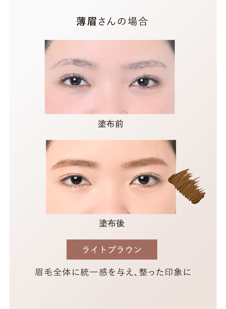 薄眉さんの場合 塗布前／塗布後：ライトブラウン 眉毛全体に統一感を与え、整った印象に