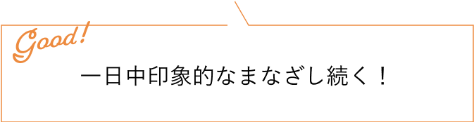 一日中印象的なまなざし続く！