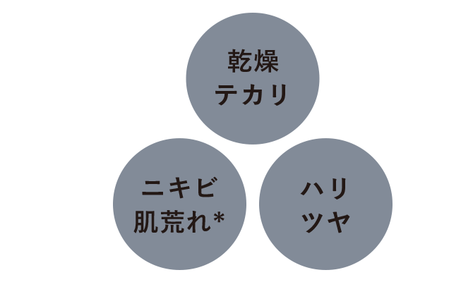 乾燥テカリ・ニキビ肌荒れ*・ハリツヤ