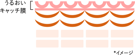うるおいキャッチ膜