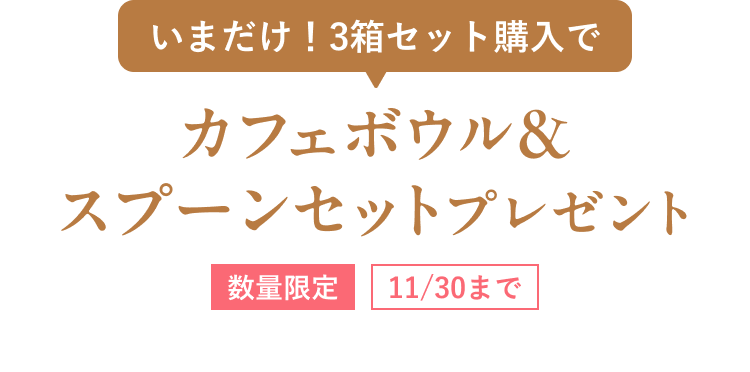 いまだけ！3箱セット購入で カフェボウル＆スプーンセットプレゼント 数量限定 11/30まで