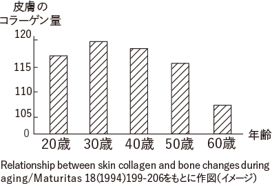 グラフ：加齢とともに減っていく皮膚のコラーゲン量の推移