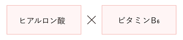 ヒアルロン酸×ビタミンB6