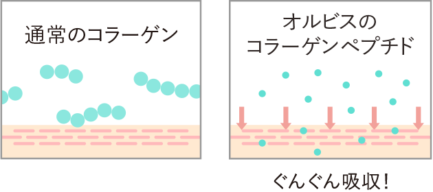 通常のコラーゲン/オルビスのコラーゲンペプチド