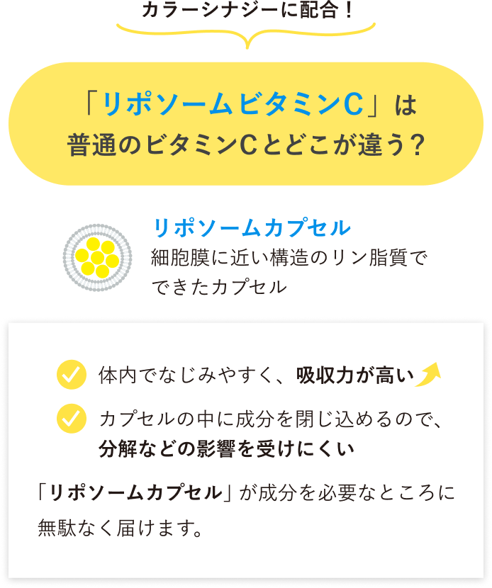 カラーシナジーに配合！「リポソームビタミンC」は普通のビタミンCとどこが違う？リポソームカプセル　細胞膜に近い構造のリン脂質でできたカプセル　・体内でなじみやすく、吸収力が高い・カプセルの中に成分を閉じ込めるので、分解などの影響を受けにくい　「リポソームカプセル」が成分を必要なところにに無駄なく届けます。