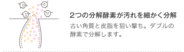 2つの分解酵素が汚れを細かく分解 古い角質と皮脂を狙い撃ち。ダブルの酵素で分解します。