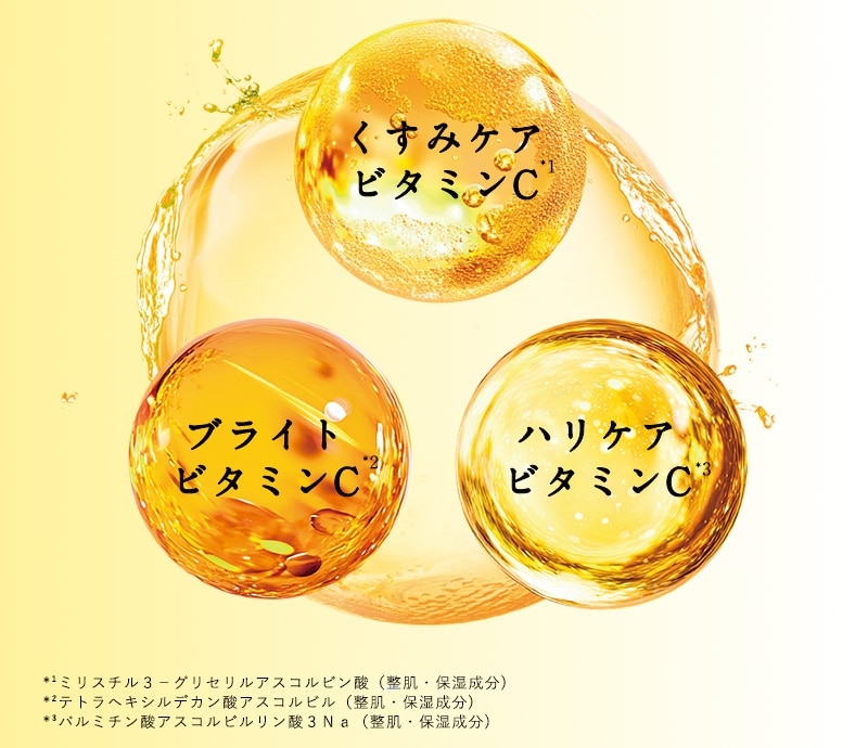 商品写真：KOYOI