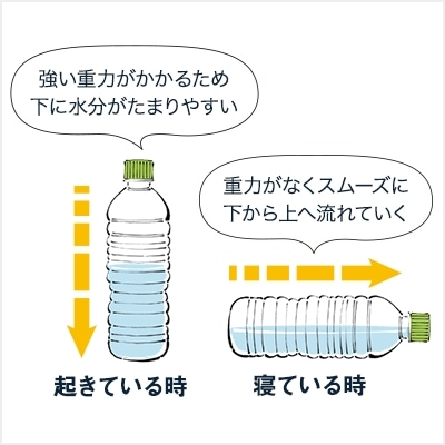 リンパの流れを図解 正しいリンパ マッサージでむくみを解消 読み物 日々をここちよく 化粧品 スキンケア 基礎化粧品の通販 オルビス公式オンラインショップ