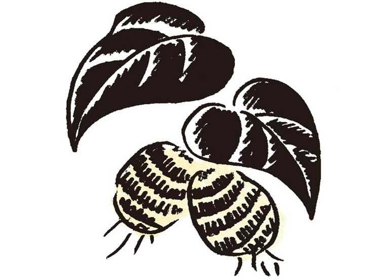 小野小町 世界三大美人のキレイの秘密 ３ 読み物 日々をここちよく 化粧品 スキンケア 基礎化粧品の通販 オルビス公式オンラインショップ