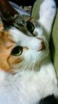 nyantaさん