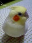 うにさん