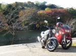 harunaさん