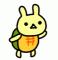 うさこさん